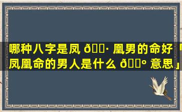 哪种八字是凤 🕷 凰男的命好「凤凰命的男人是什么 🌺 意思」